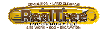 Real Tree Demolition Melbourne Florida